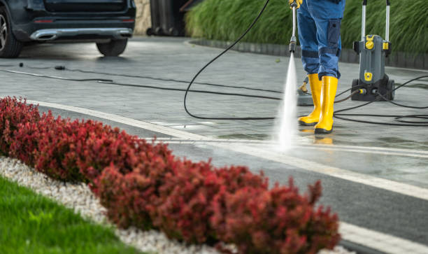 Professional Pressure washing in University Of California Davis, CA